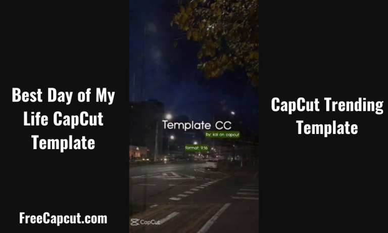 Best Day of My Life CapCut Template Trend Video | Link 2024